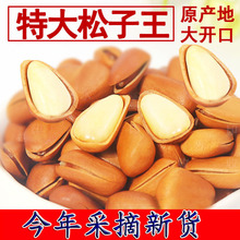 大颗粒手剥新货红松子东北产热卖新货原味松树籽坚开口松子