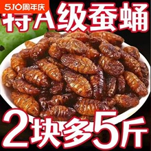 香酥蚕蛹干货新鲜蝉蛹开袋即食油炸土特产下酒菜茧蛹子小吃昆虫