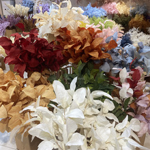 ��֦�������~ ��c�廨�b��~�������滨��ɫ���~��X�~�����~