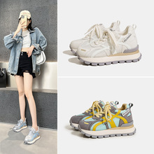 2025�ļ��W������߰���ЬŮ͸��Ь�\�Ӻ�����e�ļ��U���\��Ь