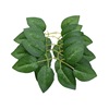 Factory spot Six Bulk Silk Seal Rose Leaf Flower Flower Insert Rose Decoration Leaf Simulation Shooting Bone Leaf