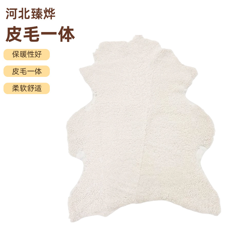 整张皮毛一体澳洲羊网红地毯客厅茶几床地垫飘窗沙发垫跨境热销