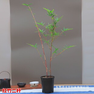 �t���^��������Gֲ�辰����ͥԺ�̨С�t�������������������҃�