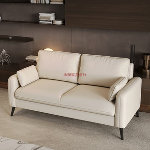Sofa for Small Apartments, Rental Houses, Washable Technology Cloth Sofa, Living Room, Clothing Store, Rest Area, Reception Double Small Sofa