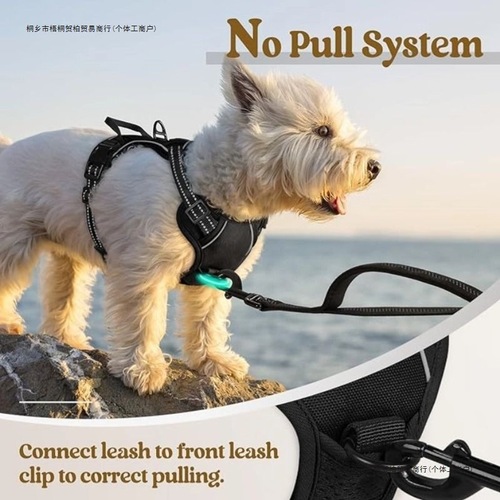 Dog Leash Rabbit Niu Safety Adjustable Bull Terrier Border Collie Bull Mastiff Night Glow Reflective Nylon Harness