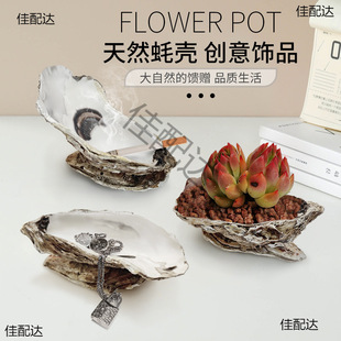 ��򺚤ؐ��������҃�С�P�ԱP���Ҹ�����ռ{�����b[��