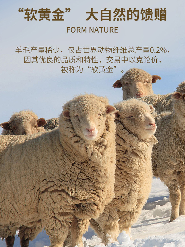 Turtleneck Sweater Men's Autumn and Winter New fleece-lined Thickened Modal Wool Warm Base Shirt One-piece Velvet Sweater