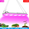 跨境 一线天LED植物生长灯 Grow light  亚马逊全光谱50W植物灯|ru