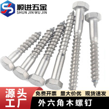 304/316���P䓰����������Թ��ݽz���^���Lľ�����˨W6810DIN571