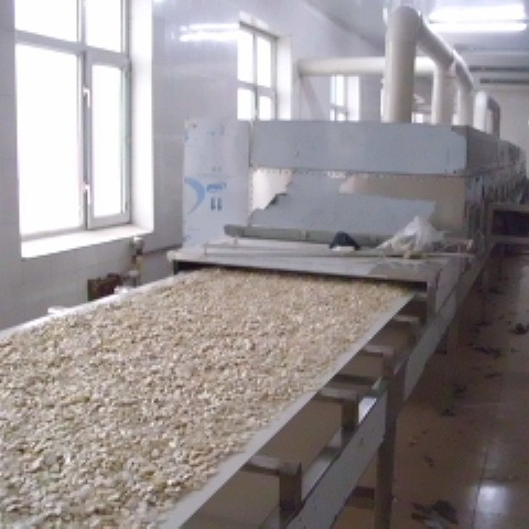 为什么要选用微波设备来烘焙瓜子花生老酥脆了