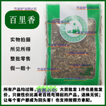 百里香 麝香草中药材调料500g新鲜 地椒 毛麝香 毛射香中草药店铺