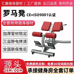 ローマンチェア ジム用 多機能 ローマンチェア 家庭用フィットネス器具 ヤギ腰伸ばし器具 腰伸ばしトレーニング器具
