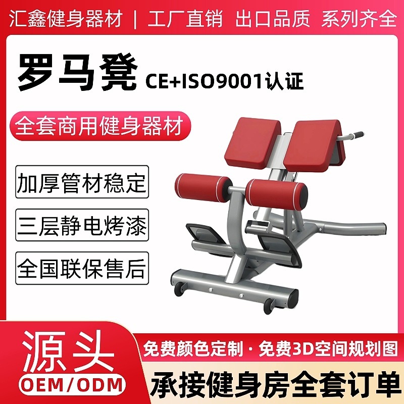 ローマンチェア ジム用 多機能 ローマンチェア 家庭用フィットネス器具 ヤギ腰伸ばし器具 腰伸ばしトレーニング器具|undefined