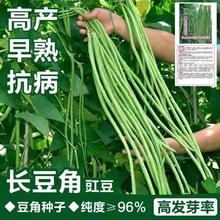 LǷNpǸ߮a߲˷NӴļ@ͥԺ׷N