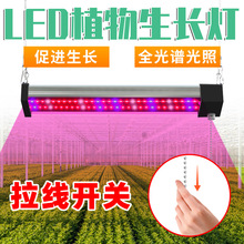 速卖通爆款LED生长灯全光谱多肉植物灯条管量子板铝材盆栽种植灯