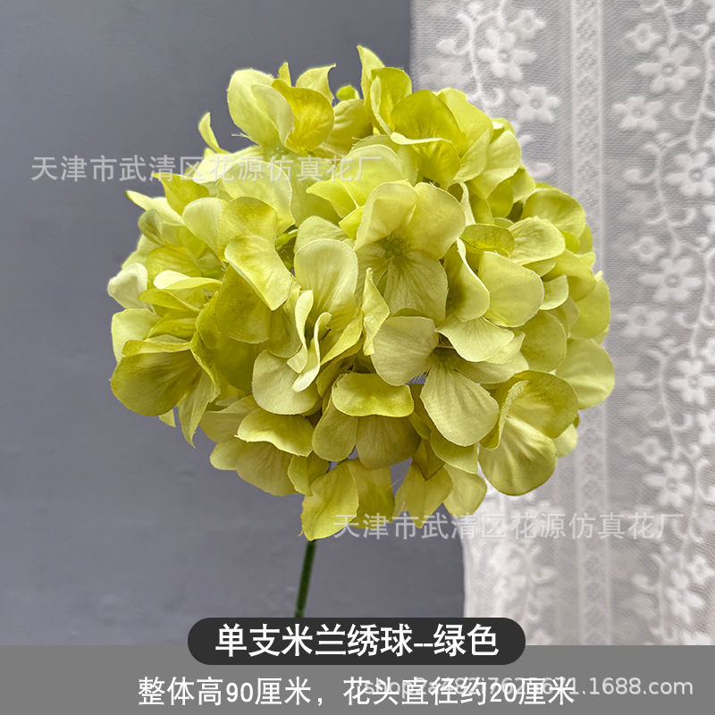 단일 밀라노 수국 - 녹색