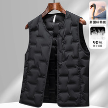 2025�ﶬ���¿���q���R���ж̿��p����ů�r�Ў�����q����LH2629