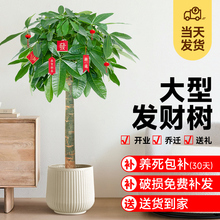 lؔ͏dԴؔkҴ;Gֲ҃_Iw·ֲl