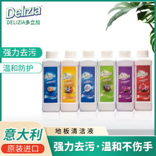 Floor Cleaner for Stain Removal and Descaling, Suitable for Bathroom Tiles, Countertops, Wooden Floors, Multi-Purpose Household Cleaning Liquid, Imported