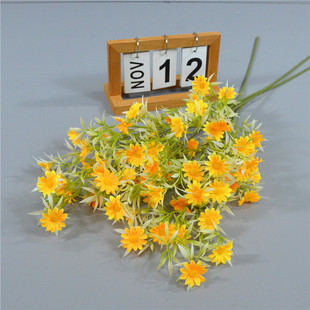 ���滨��֦СҰ�ս����������r�Ո@ˇ���^�������͕��h�������컨