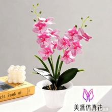 12�������m�辰���滨�҃��b�Ʒ���컨����Ҿӕ����͏d�[������