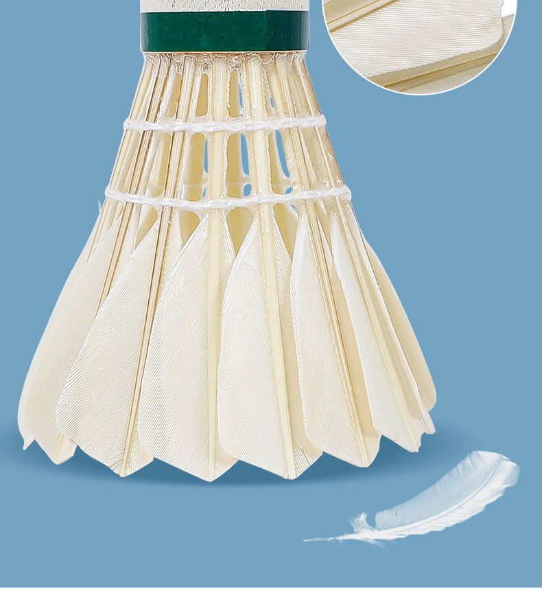 092057f7-61d4-45a2-b2e2-36564d979fb6.jpe