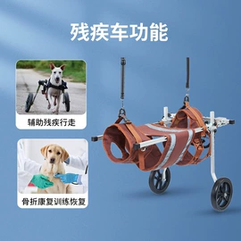 狗狗服装;猫猫服饰;训练用品