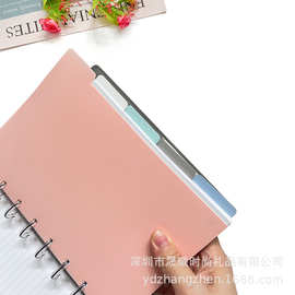 批发5.5X8.5英寸，5色蘑菇孔分隔页，亚马逊热销分类夹PP索引页