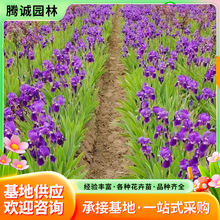 �����Q�Sβ������β�ļ����N�_���׻�ͥԺ���^�G��������ꎻ���