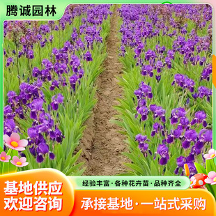�����Q�Sβ������β�ļ����N�_���׻�ͥԺ���^�G��������ꎻ���