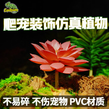 ����ֲ�����x�����������ϾGֲ�ľ�з�쾰�����������������B�b�