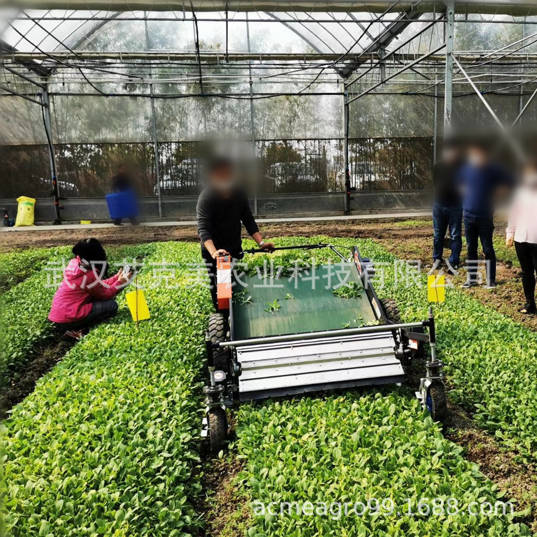 vegetable harvester 3_副本