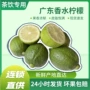 广东直发产地商用柠檬茶