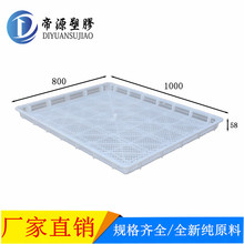 食品药材干果烘干盘塑料晾嗮盘水产冷冻盘密眼大眼单冻器烤盘云南