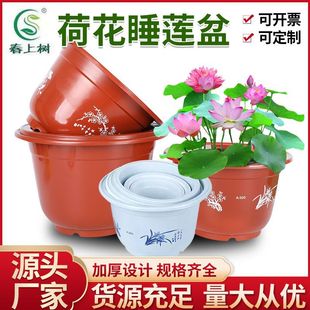 ����A�ͻ���ɻ�����ɏ˯ɏ���X��ˮ��ֲ��A��������ɻ��茣��