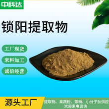 锁阳提取物 锁阳喷干粉 锁阳比例提取物 锁阳浸膏粉 锁阳粉 现货