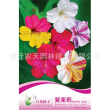 批发彩包种四季播种室内阳台盆栽花卉种子家庭花种葫芦薰衣草地栽