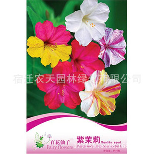 lʰNļN̨҃ԻܷNӼͥNJ޹²ݵ