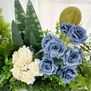 �羳��Ʒ���� 7�^���õ��Y���������������b�cӰ���ֹ�����