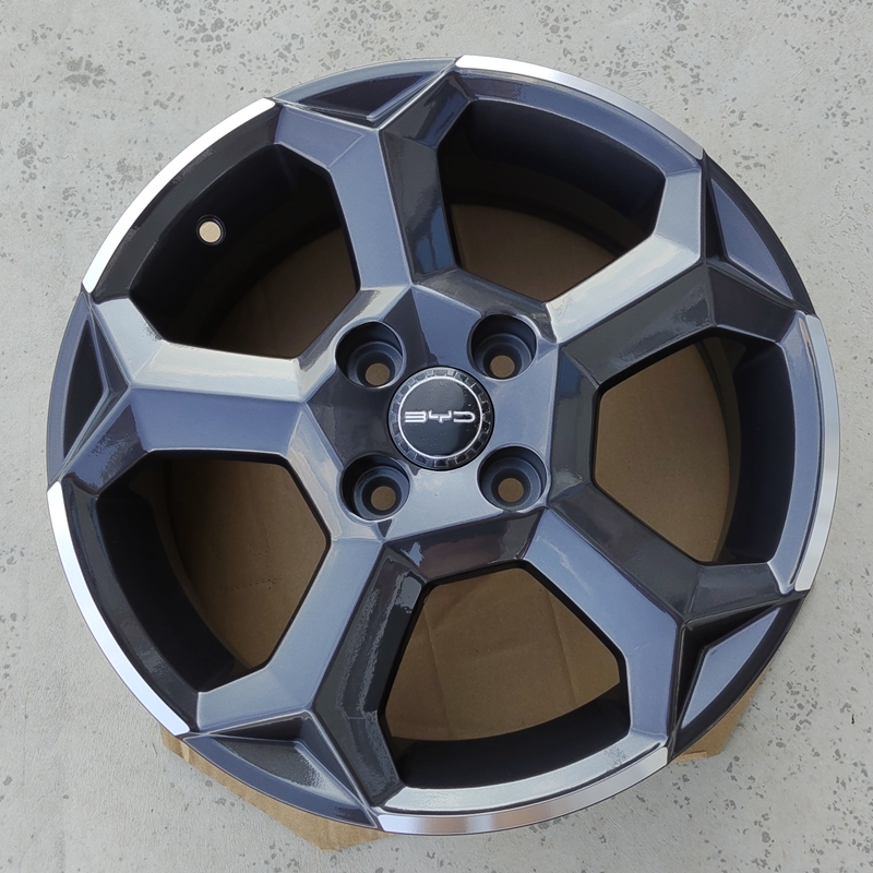 Suitable for Byd Su Rui Qin Dolphin Modified Seagull Hub Wheels