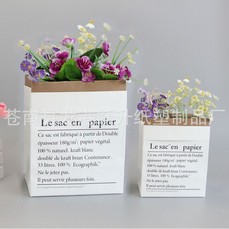 Spot ins Paper Bag Kraft Storage Mini Paper Bag Double Thickened Nordic Style Desktop Paper Bag