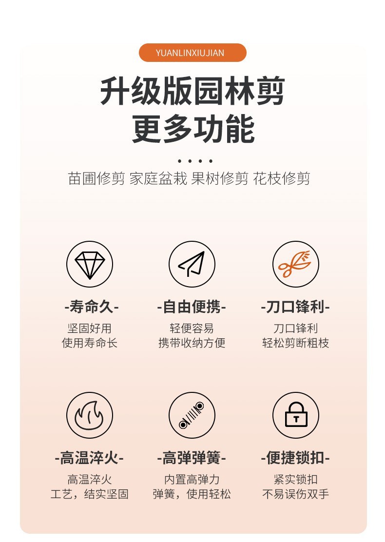 21336282451_61579330