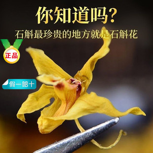 ��ɽ�FƤʯ�����ɻ���ʯ��������r�l�B�������rʯ�����ݲ�