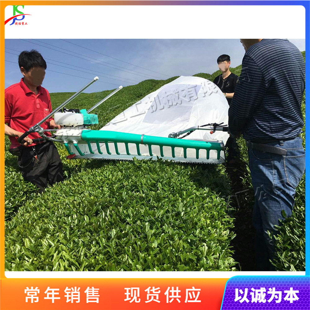 农业茶园小型单人双人采摘机械 茶叶汽油修剪机 割草机绿篱机