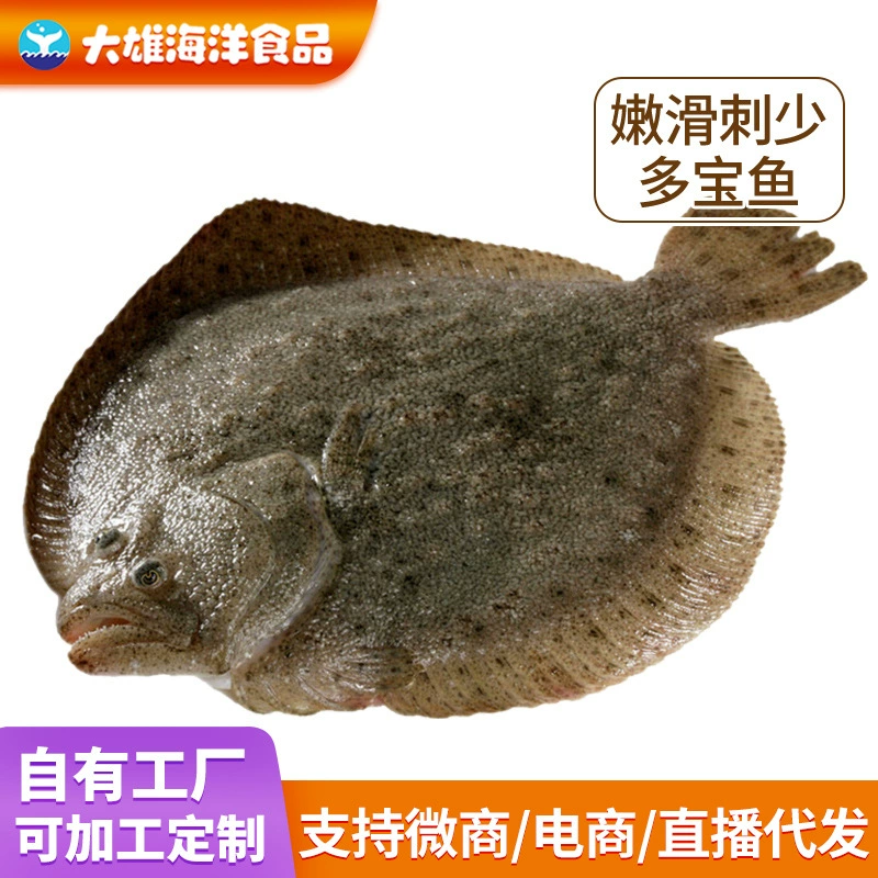 Свежие морепродукты оптом свежая морское турбо Рыба свежая большая замороженная камбала Коммерческая рыба тюрбо