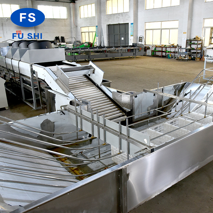 【厂家推荐】FS-QXDL型水果清洗打蜡分选线售后保障水果分选设备