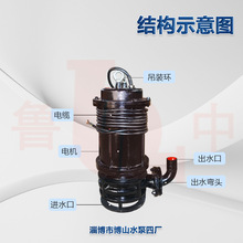 200QW300-10型潜水排污泵工业用大流量水泵无堵塞排水泵鲁中牌