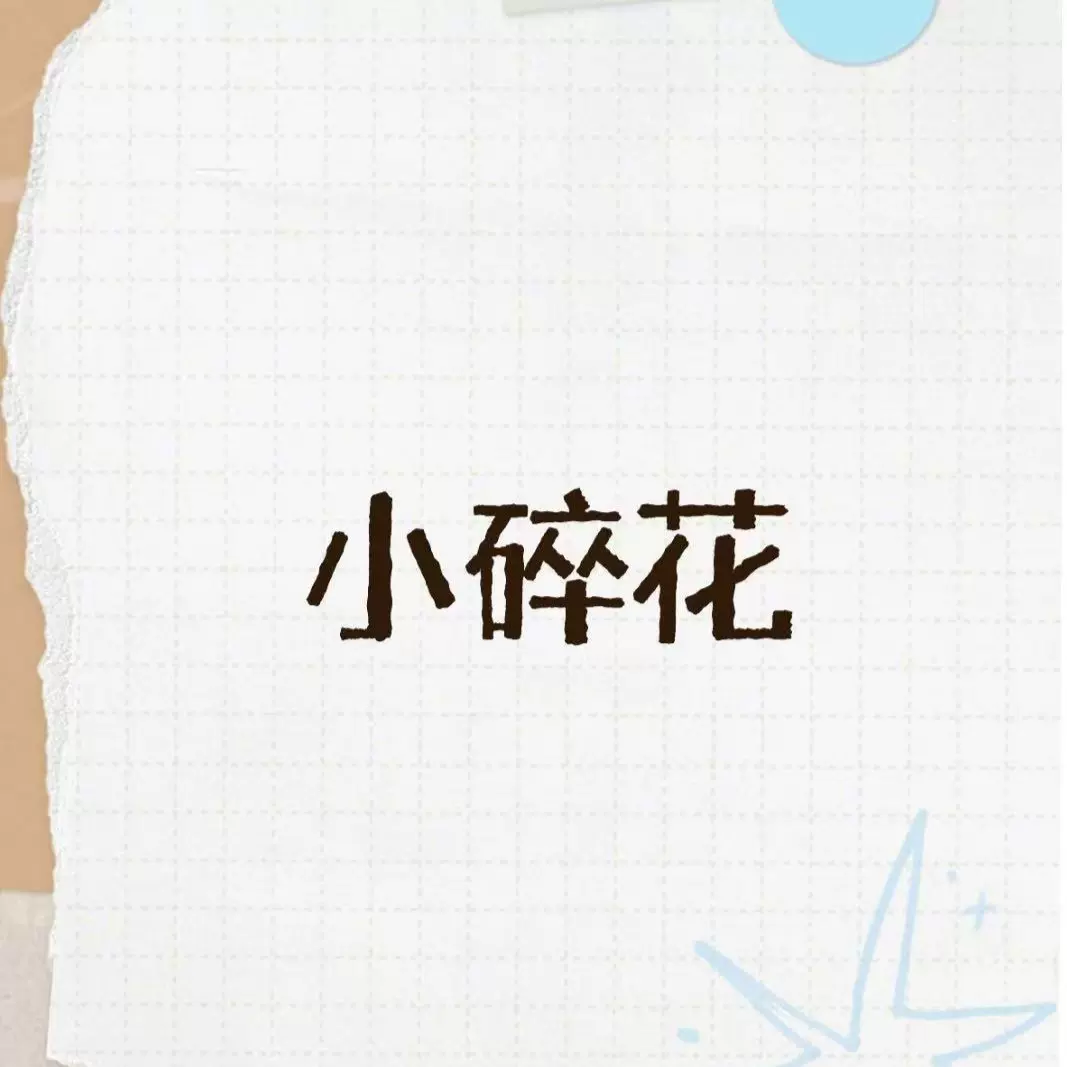 xhj072款 2025年秋冬季新款字母宽松版圆领植绒卫衣显瘦运动