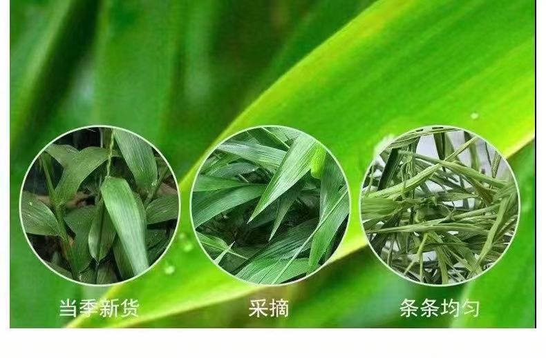 Shi Zhu Tea Dried Lophatherum Bamboo Leaf Loose Herbal Tea 30g Canister key features