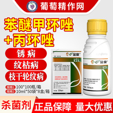 �����_���ı��ױ��h��С���O���y�ݲ�֦��݆�y���rș�����������